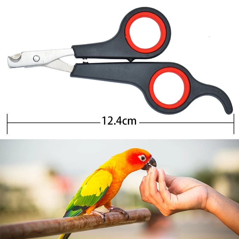 Tesoura de Unhas para Pássaros - Grooming Scissors avaliação e preço